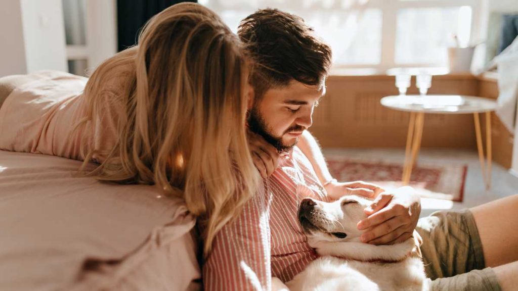 Guarda compartilhada de pets vira lei: Saiba quem fica com o animal e como as despesas serão divididas na separação