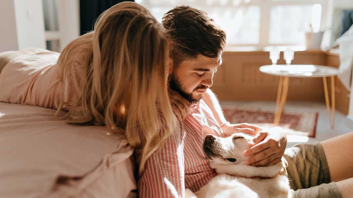 Guarda compartilhada de pets vira lei: Saiba quem fica com o animal e como as despesas serão divididas na separação