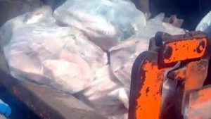 MP apreende 1,3 tonelada de pescado em Imbé e operação gera reação de pescadores e políticos