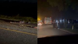 Ônibus com alunos atropela cavalo na Estrada do Mar em Osório