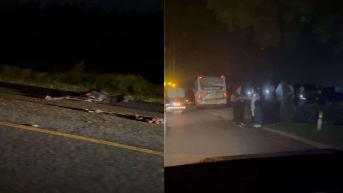 Ônibus com alunos atropela cavalo na Estrada do Mar em Osório