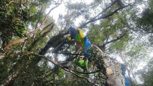 Piloto morre após queda de ultraleve no interior do RS