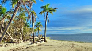 Caribe
