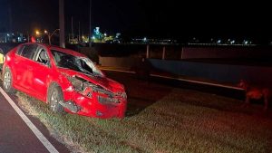 Cavalos soltos provocam colisões no km 35 em Capão da Canoa