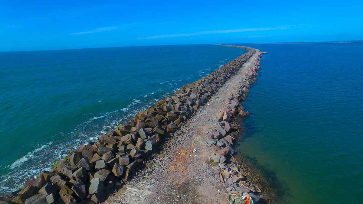 REVIS Molhe Leste fortalece proteção de leões-marinhos em São José do Norte 10