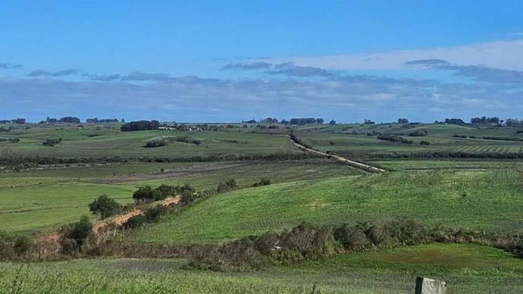 Transcampesina pode mudar a logística do RS e aproximar fronteira do Litoral Sul