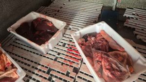 Alimentos