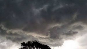 Temporal